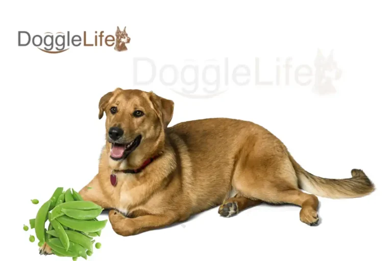 Can Dogs Eat Peas
