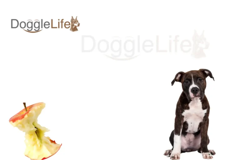 Can Dogs Eat Apple Cores