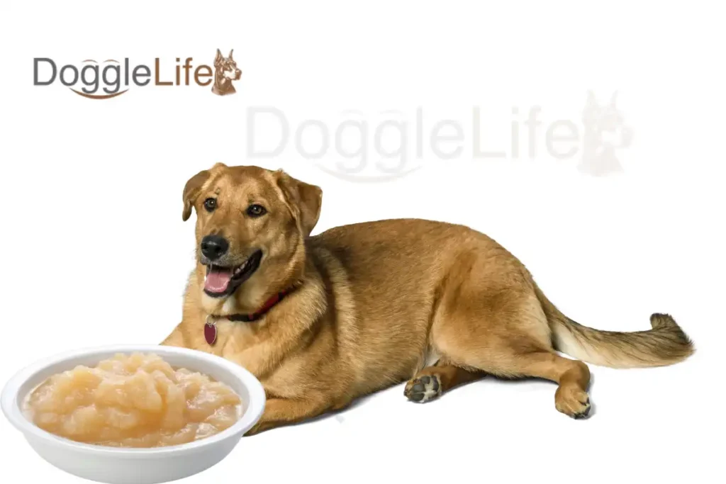 Can Dogs Eat Applesauce: Vet Approved