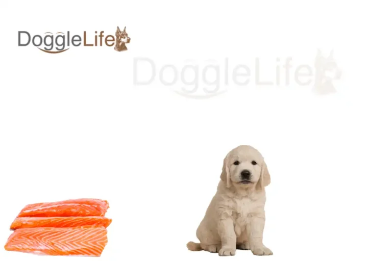 Can Dogs Eat Canned Salmon