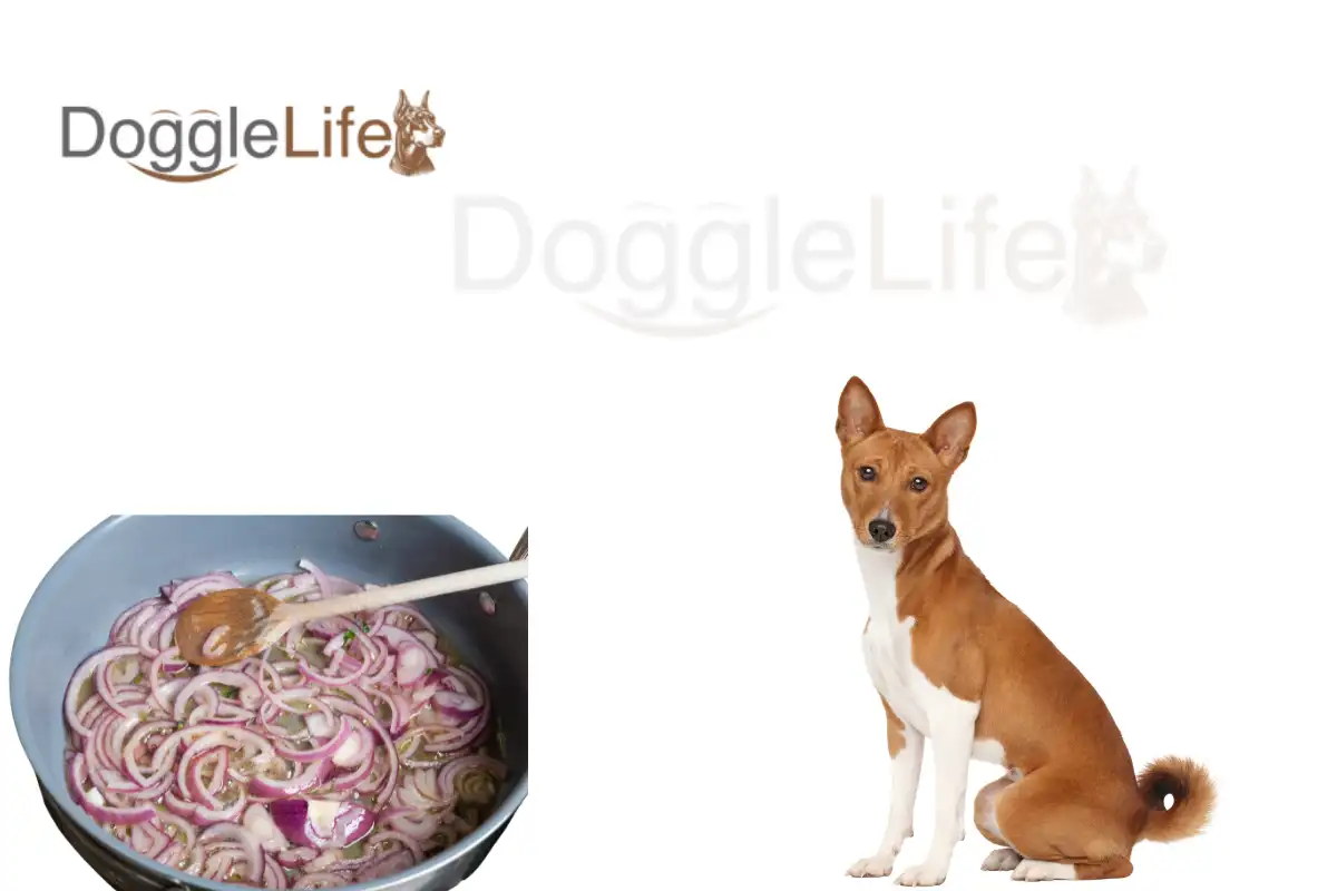 Can Dogs Eat Cooked Onions