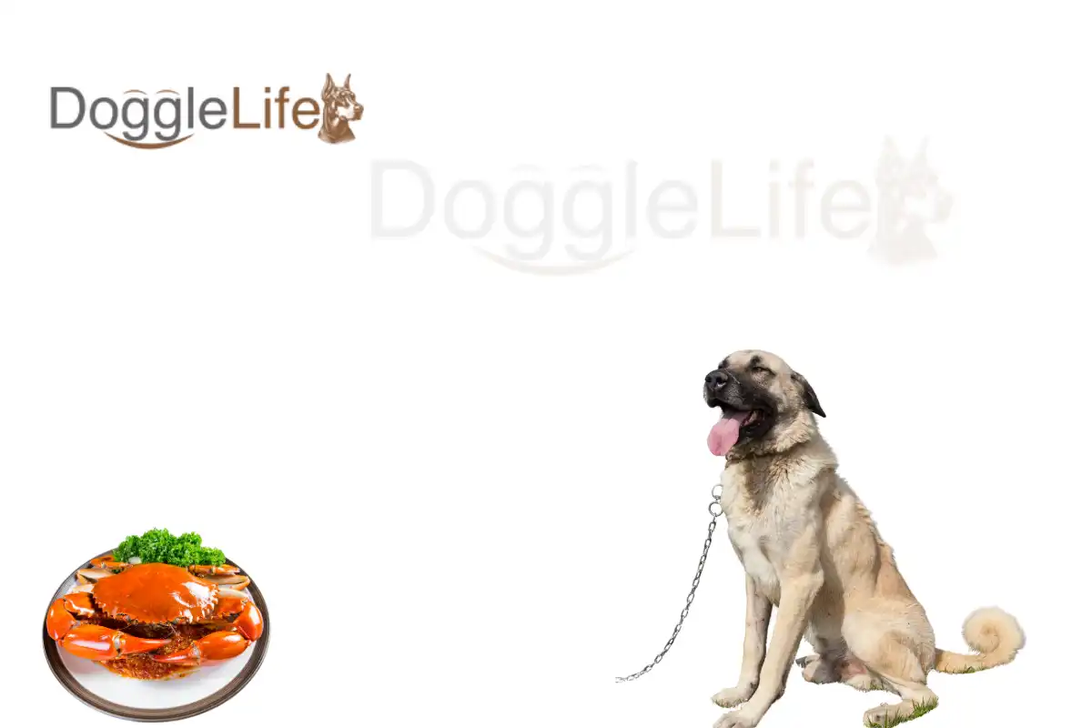 Can Dogs Eat Crab Meat