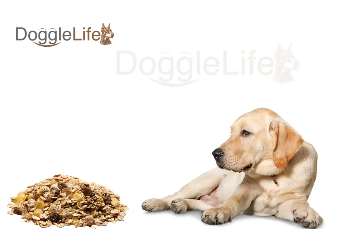 Can Dogs Eat Granola