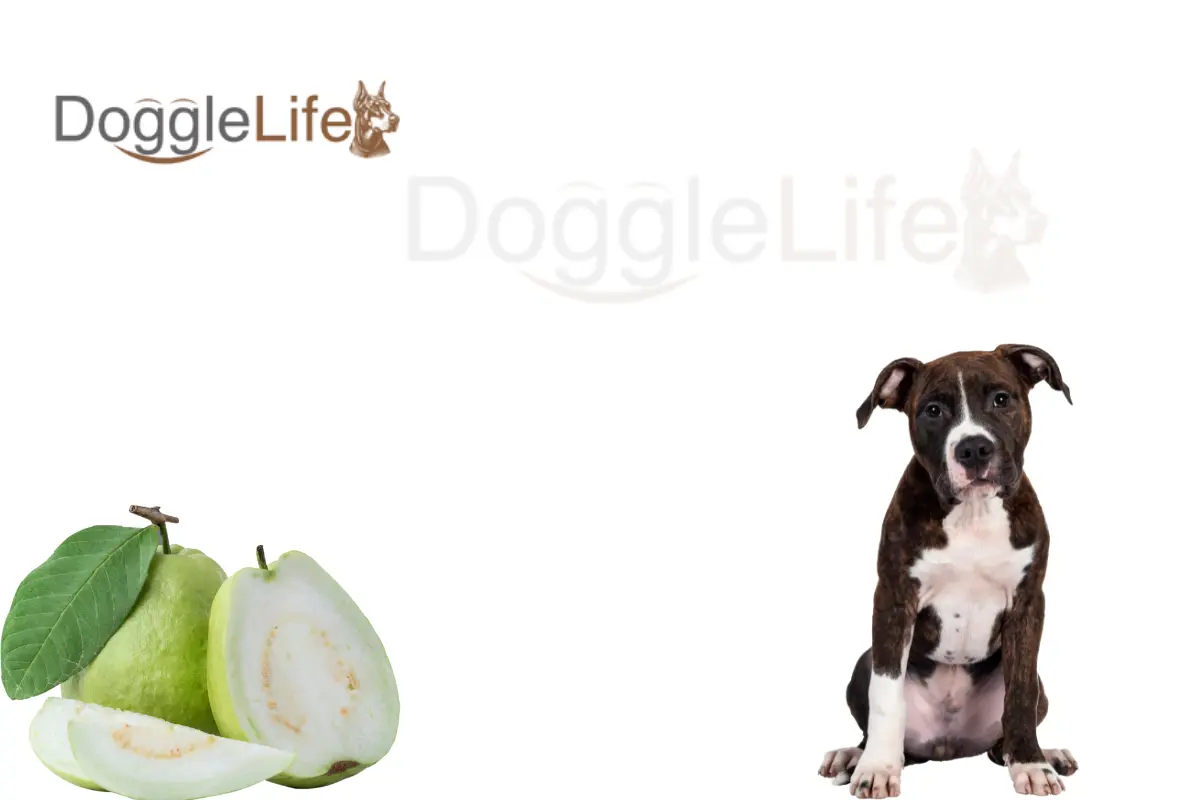 Can Dogs Eat Guava