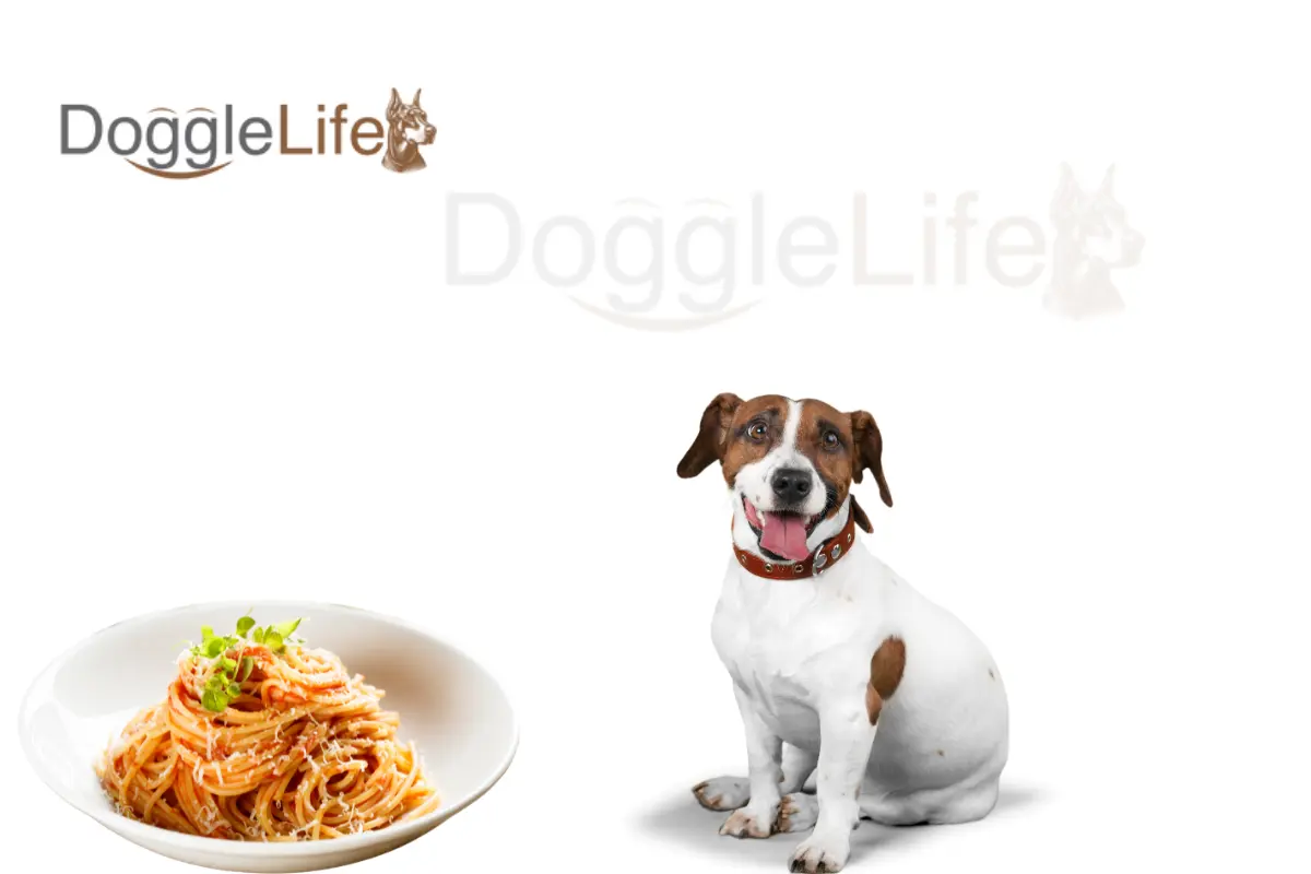 Can Dogs Eat Pasta