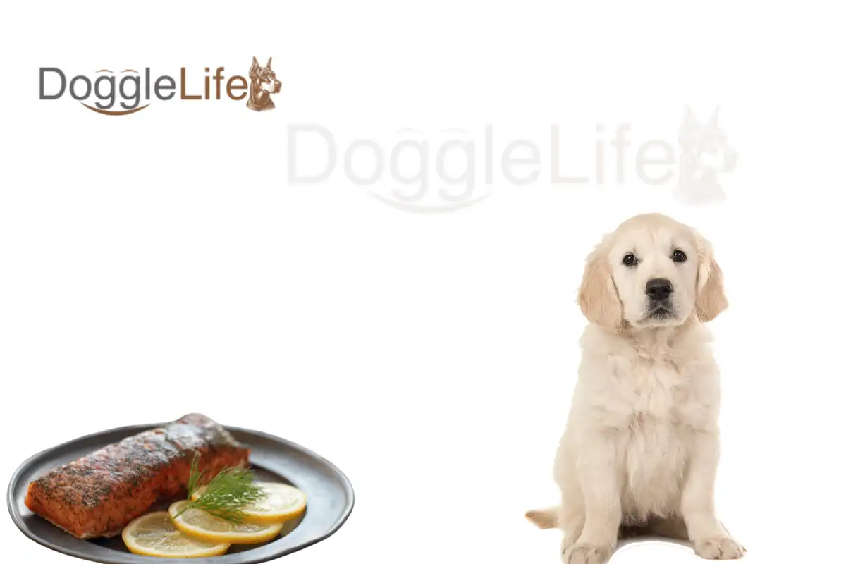 Can Dogs Eat Smoked Salmon