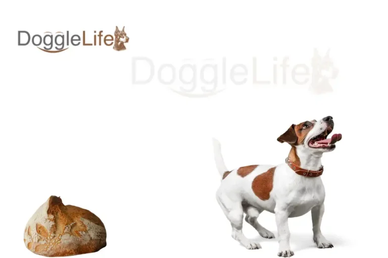 Can Dogs Eat Sourdough Bread