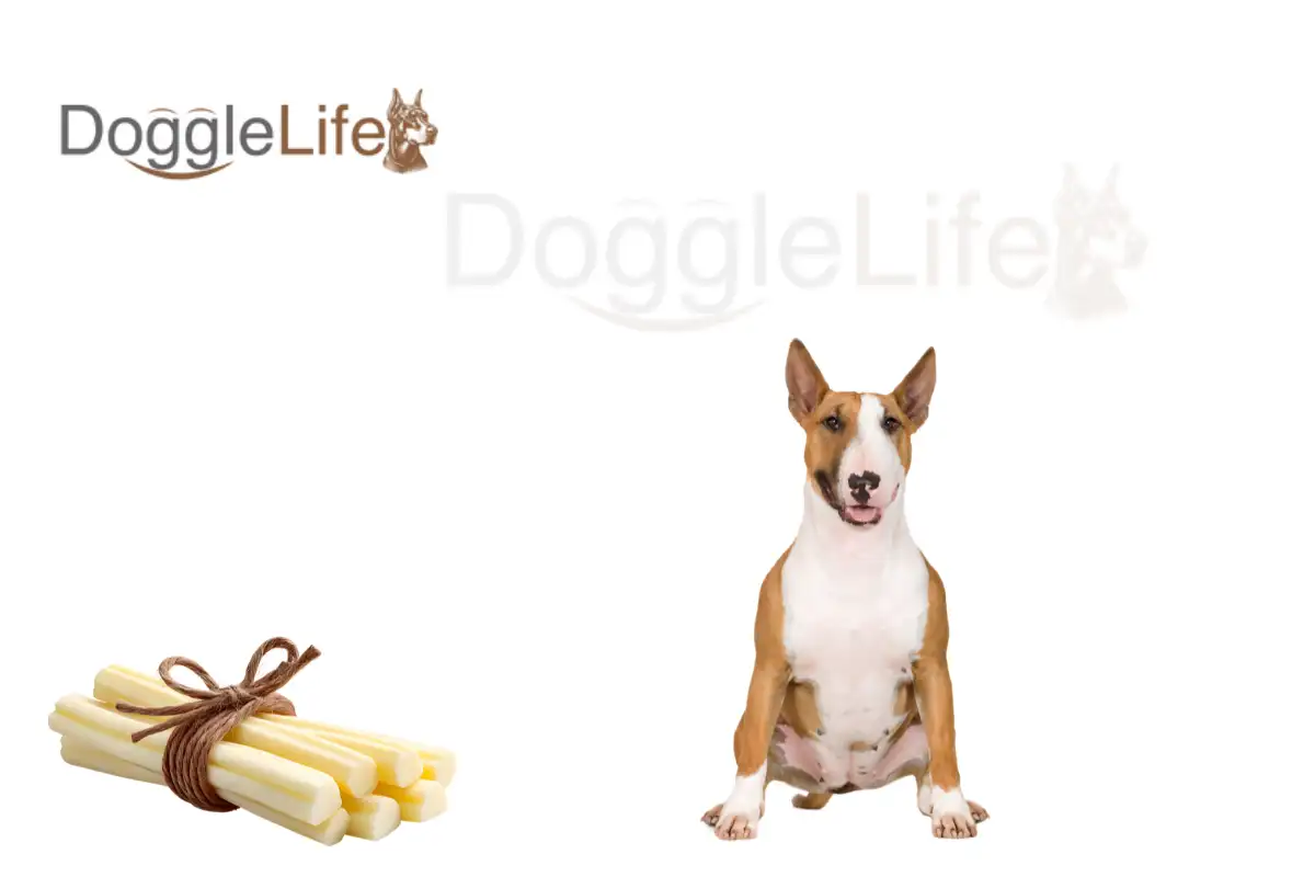 Can Dogs Eat String Cheese