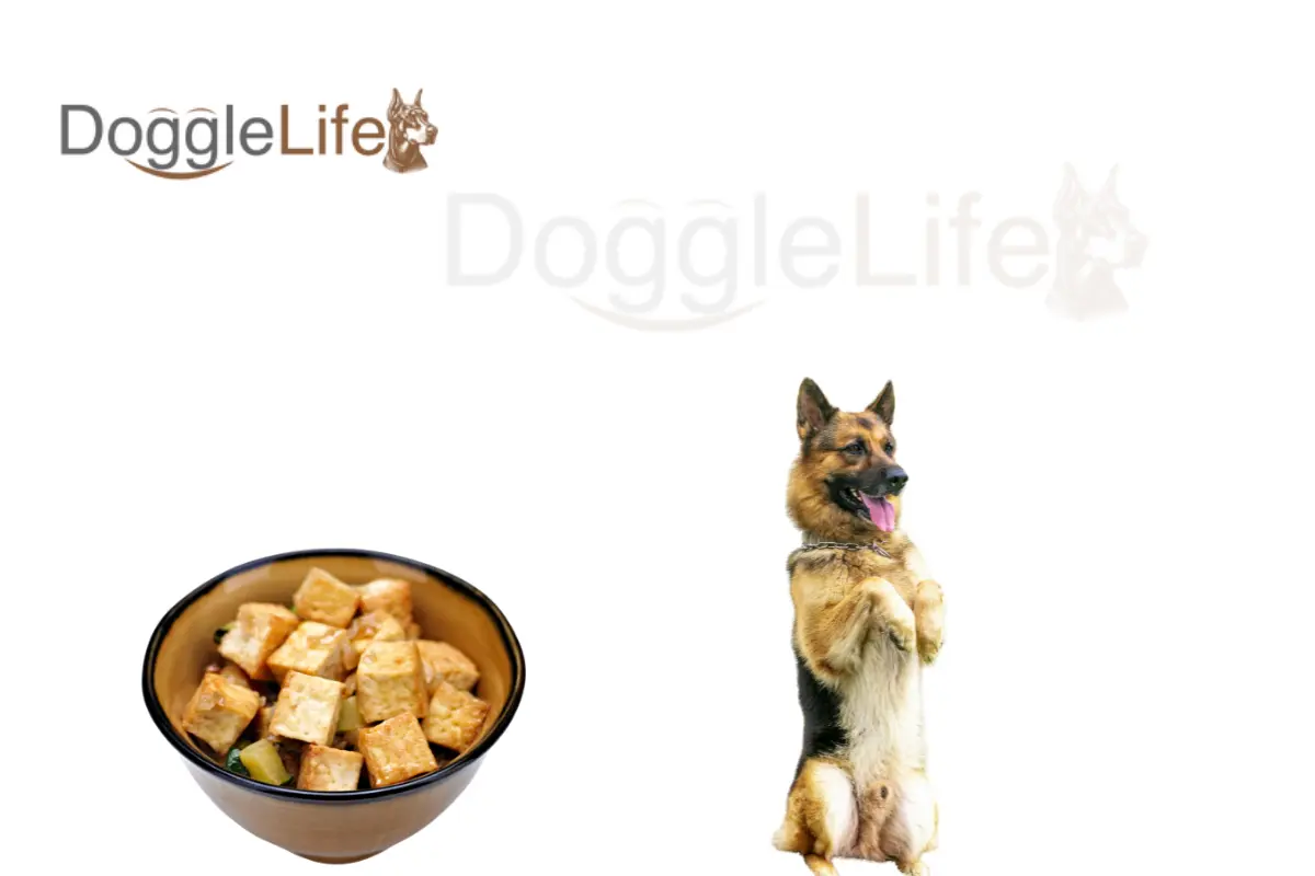 Can Dogs Eat Tofu