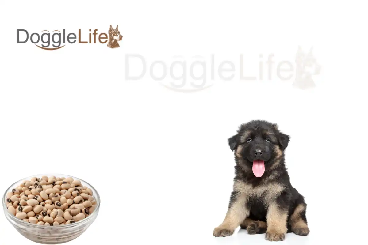 can dogs eat black eyed peas
