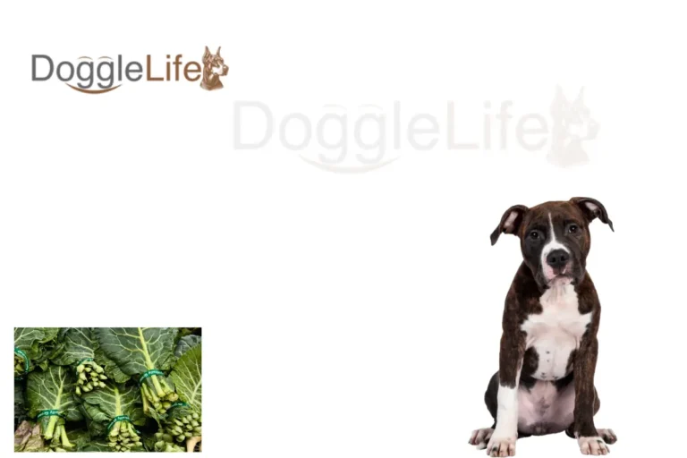 can dogs eat collard greens​