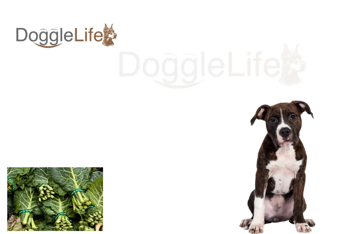 can dogs eat collard greens