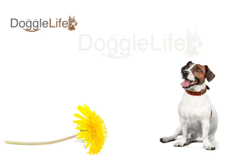 can dogs eat dandelions