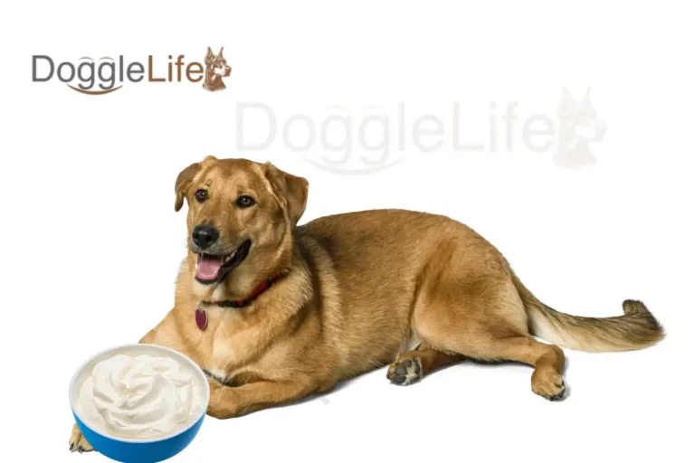 Can Dogs Eat Greek Yogurt