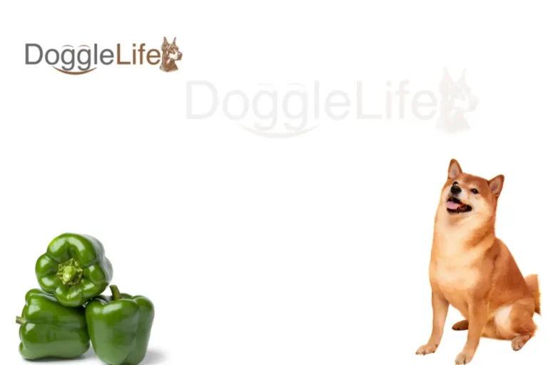 can dogs eat green bell peppers