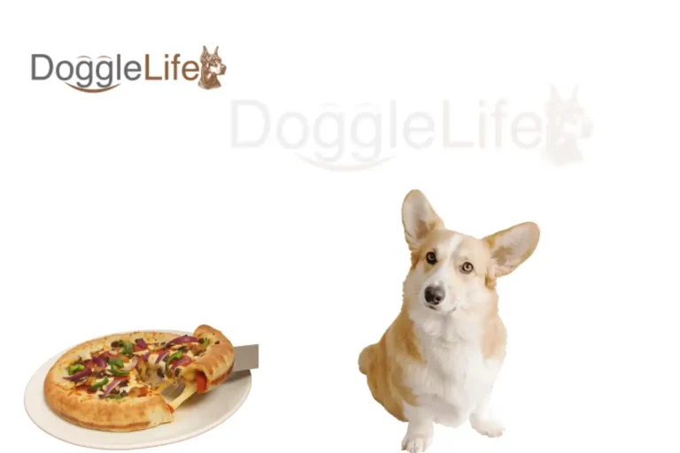 can dogs eat pizza crust