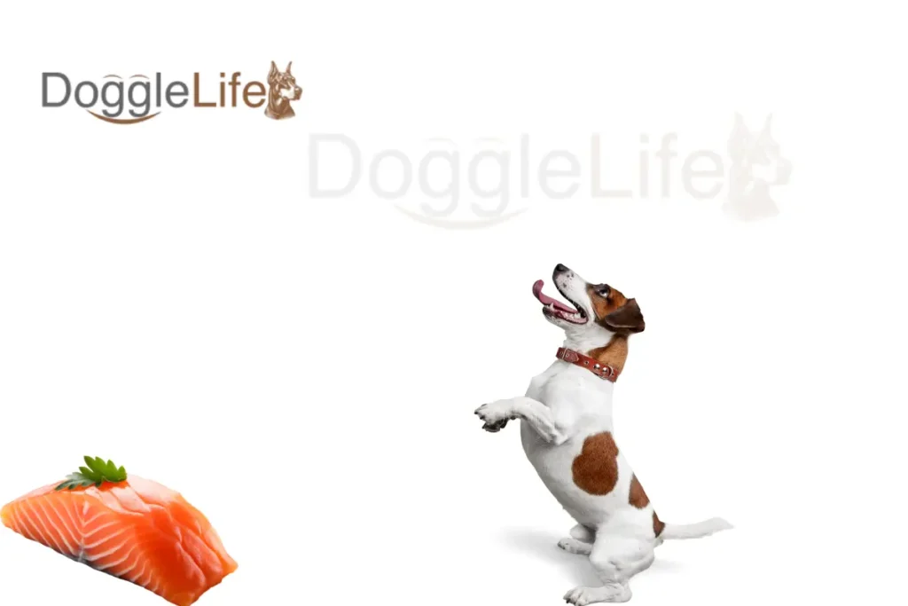can dogs eat salmon skin Vet Approved