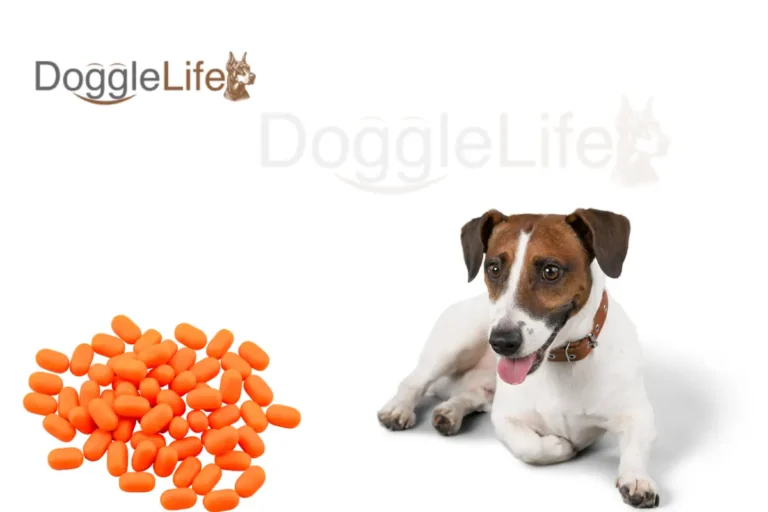 How much Benadryl can I give my dog