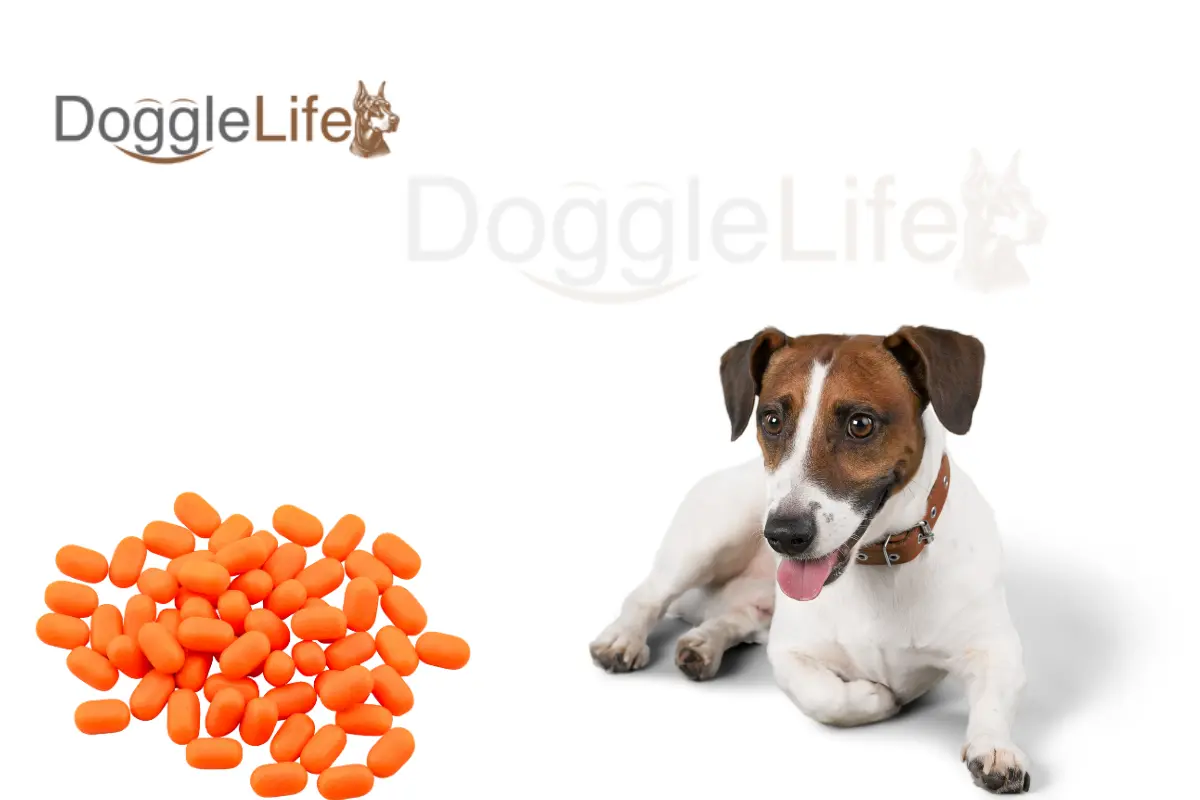 How much Benadryl can I give my dog